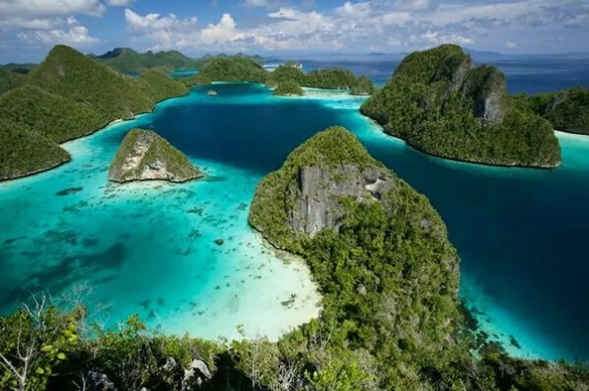 Ilustrasi Raja Ampat (Sumber: Pinterest)
