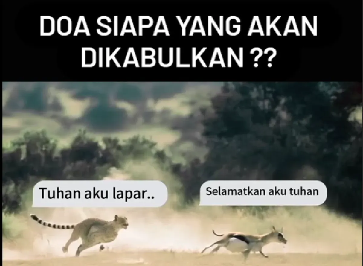 Seekor cheetah dan gazelle di padang savana, dua makhluk berbeda dengan doa yang sama tulusnya (Sumber: Instagram/@hypn0holic)