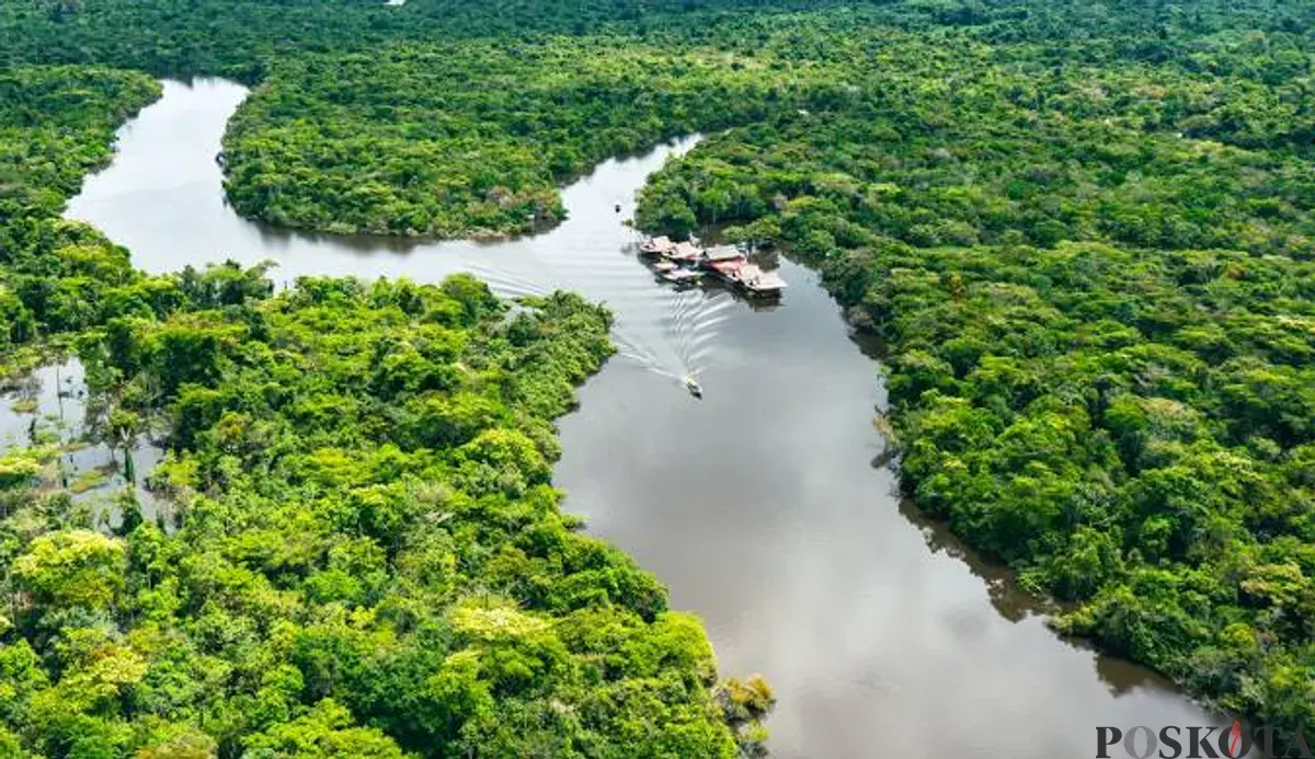Potret Hutan Amazon yang dibanjir rating 1 oleh warganet Indonesia. (Sumber: Google Maps)