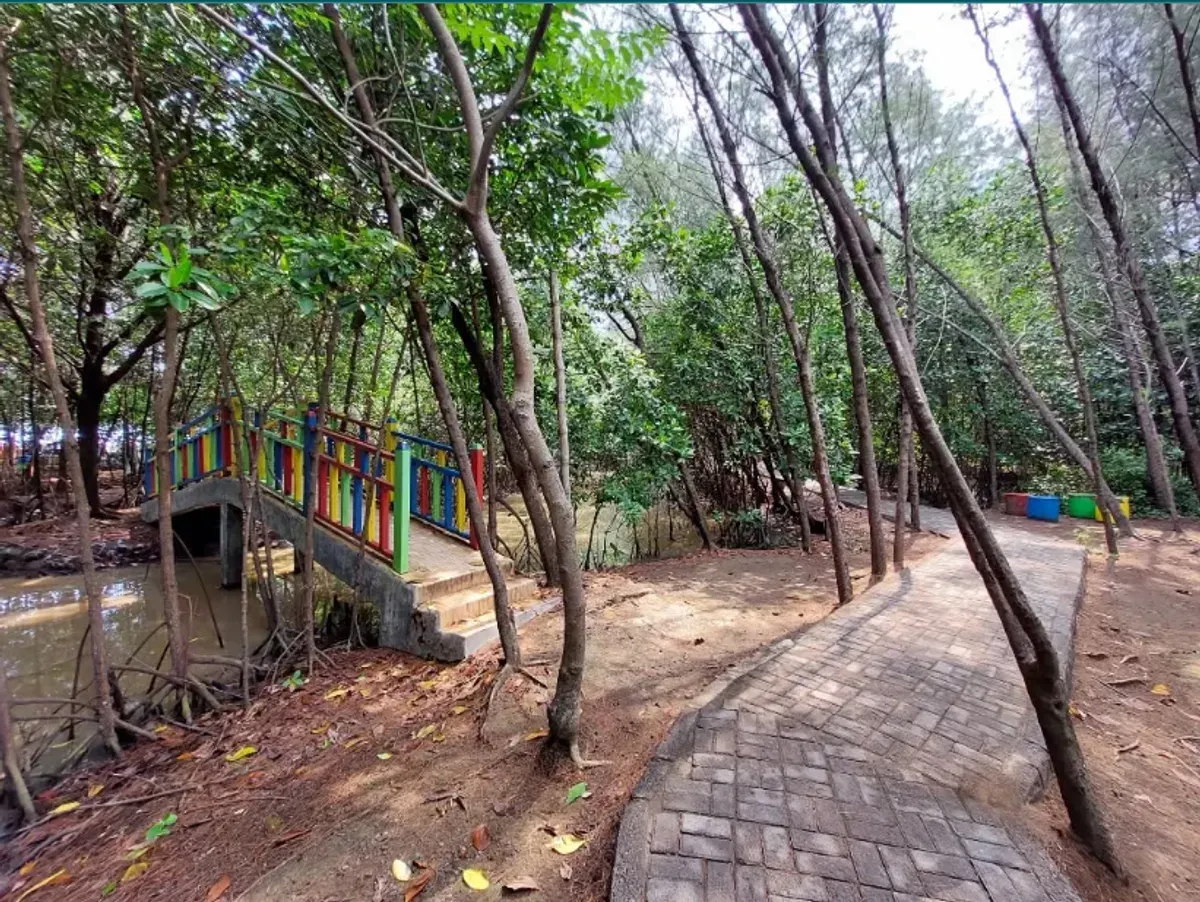 Masukkan Hutan Mangrove Kota Tegal sebagai destinasi wisata pilihan saat libur Lebaran 2025 nanti. (Sumber: Instagram/@Infotegal)