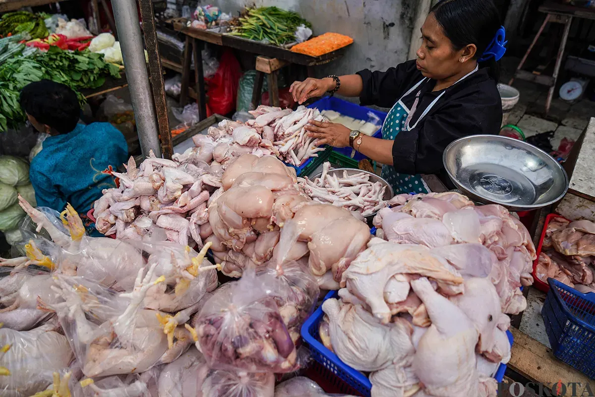 Pedagang menyiapkan, memotong, menimbang dan melayani pembeli daging ayam di Pasar Palmerah, Jakarta Barat, Selasa, 19 Maret 2025. (Sumber: Poskoata/ Bilal Nugraha Ginanjar)
