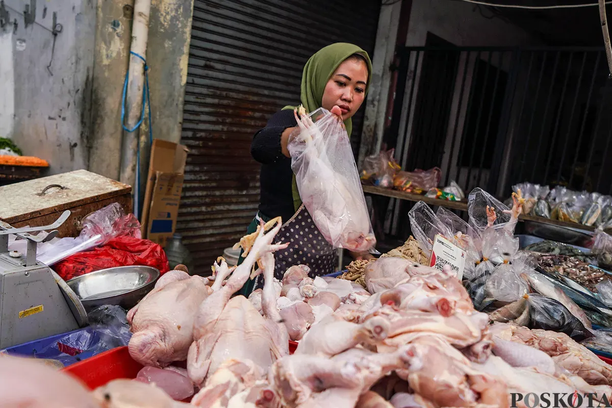 Pedagang menyiapkan, memotong, menimbang dan melayani pembeli daging ayam di Pasar Palmerah, Jakarta Barat, Selasa, 19 Maret 2025. (Sumber: Poskoata/ Bilal Nugraha Ginanjar)