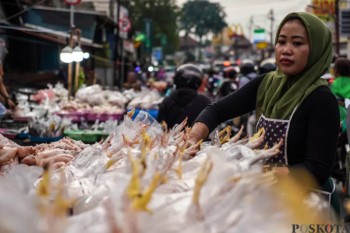 Pedagang menyiapkan, memotong, menimbang dan melayani pembeli daging ayam di Pasar Palmerah, Jakarta Barat, Selasa, 19 Maret 2025. (Sumber: Poskoata/ Bilal Nugraha Ginanjar)
