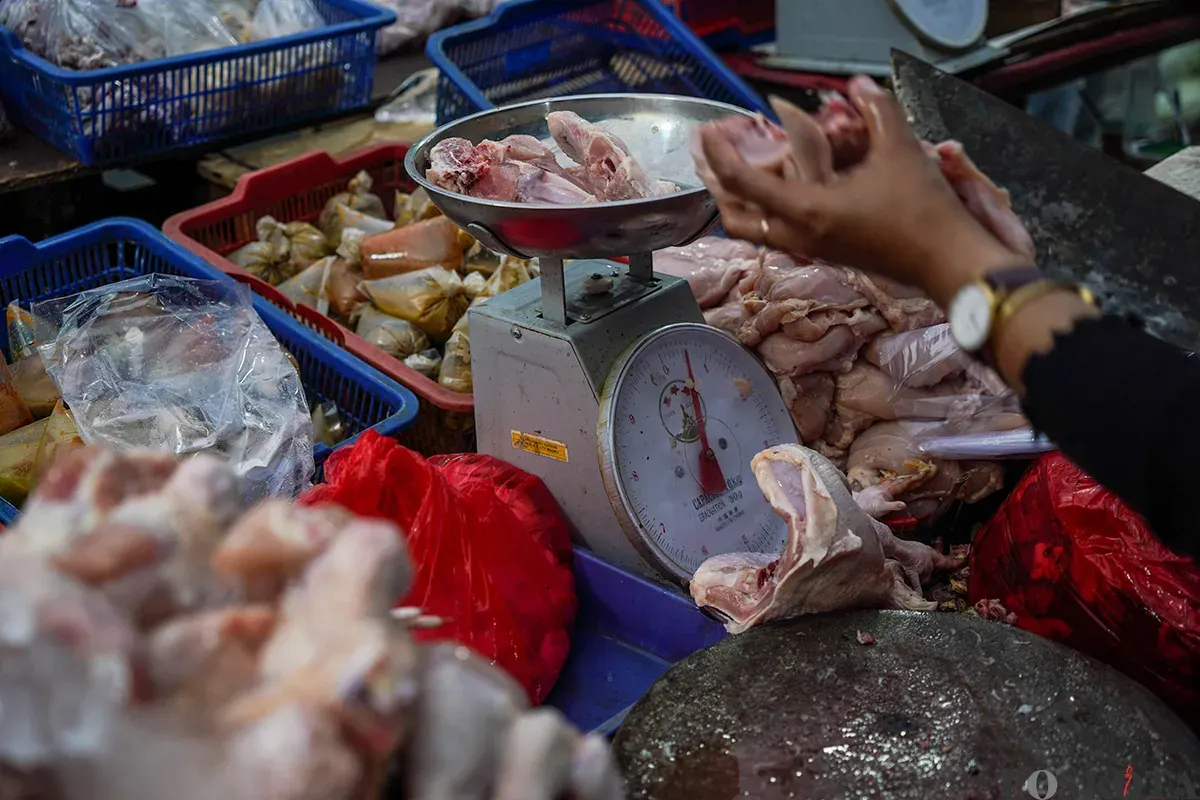 Pedagang menyiapkan, memotong, menimbang dan melayani pembeli daging ayam di Pasar Palmerah, Jakarta Barat, Selasa, 19 Maret 2025. (Sumber: Poskoata/ Bilal Nugraha Ginanjar)