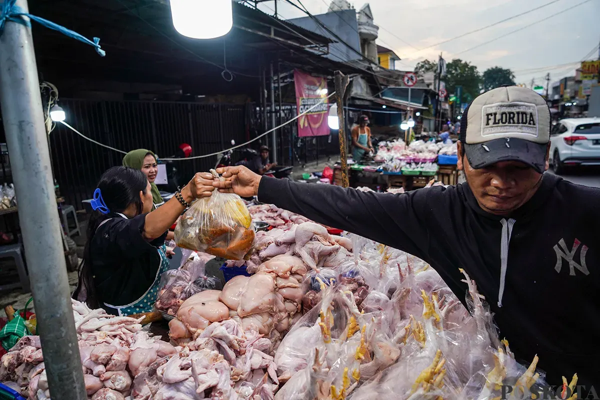 Pedagang menyiapkan, memotong, menimbang dan melayani pembeli daging ayam di Pasar Palmerah, Jakarta Barat, Selasa, 19 Maret 2025. (Sumber: Poskoata/ Bilal Nugraha Ginanjar)