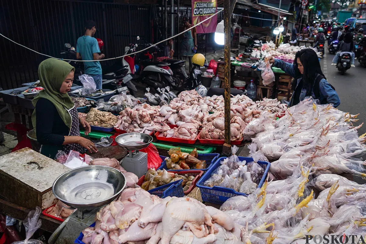 Pedagang menyiapkan, memotong, menimbang dan melayani pembeli daging ayam di Pasar Palmerah, Jakarta Barat, Selasa, 19 Maret 2025. (Sumber: Poskoata/ Bilal Nugraha Ginanjar)