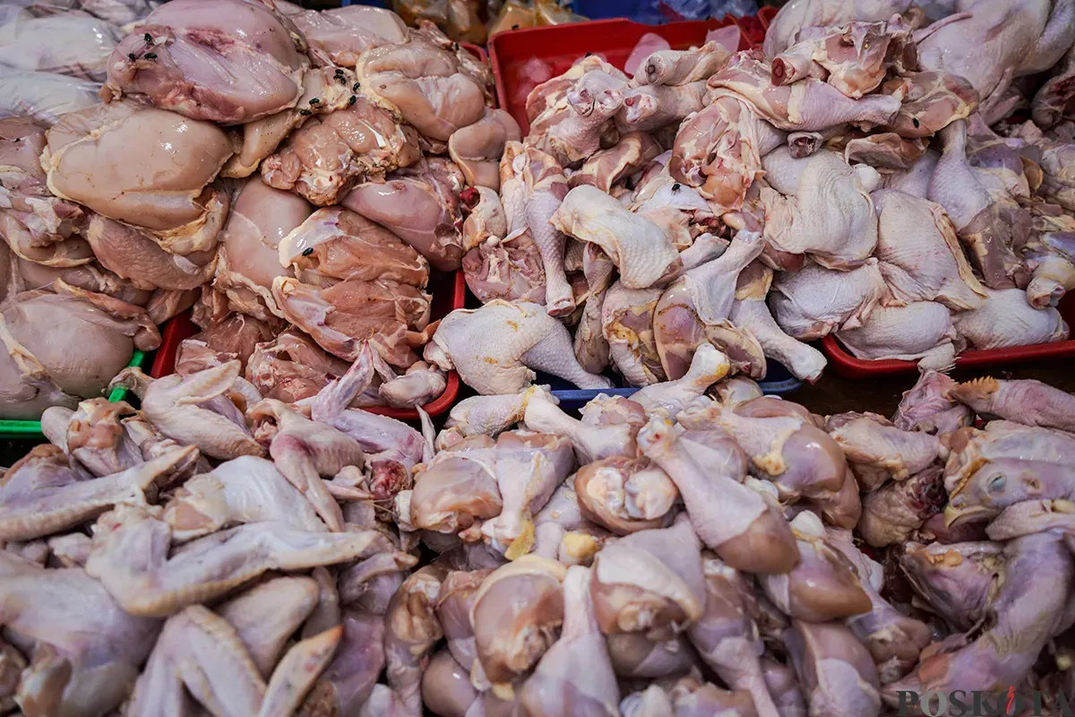 Pedagang menyiapkan, memotong, menimbang dan melayani pembeli daging ayam di Pasar Palmerah, Jakarta Barat, Selasa, 19 Maret 2025. (Sumber: Poskoata/ Bilal Nugraha Ginanjar)