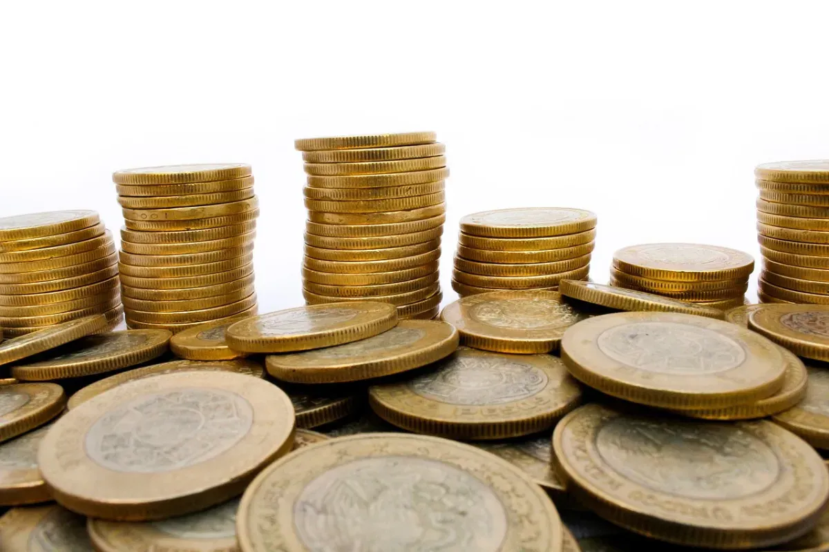 Begini cara bertahan hidup dengan Rp50.000 sehari. (Sumber: Pixabay/Vicafree)