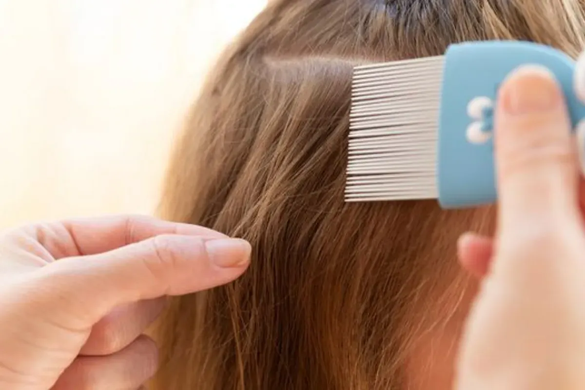 Kebiasaan ini bisa jadi penyebab kutu rambut bersarang di kepalamu. (Sumber: Pinterest/Astuce du Jour)