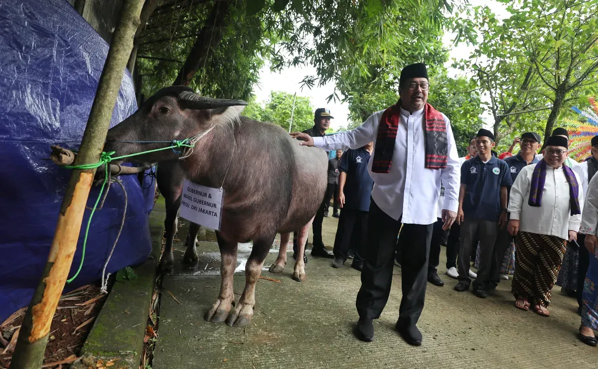 Wakil Gubernur Jakarta, Rano Karno saat menghadiri tradisi Betawi Andilan Potong Kebo di Agro Edukasi Wisata Ragunan, Pasar Minggu, Jakarta Selatan, Sabtu, 29 Maret 2025. (Sumber: Dok. Diskominfotik Jakarta)