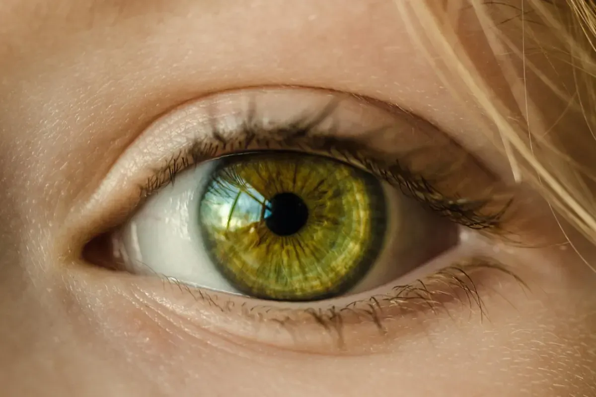 Ilustrasi scan iris mata yang dilakukan World App. (Sumber: Pixabay)