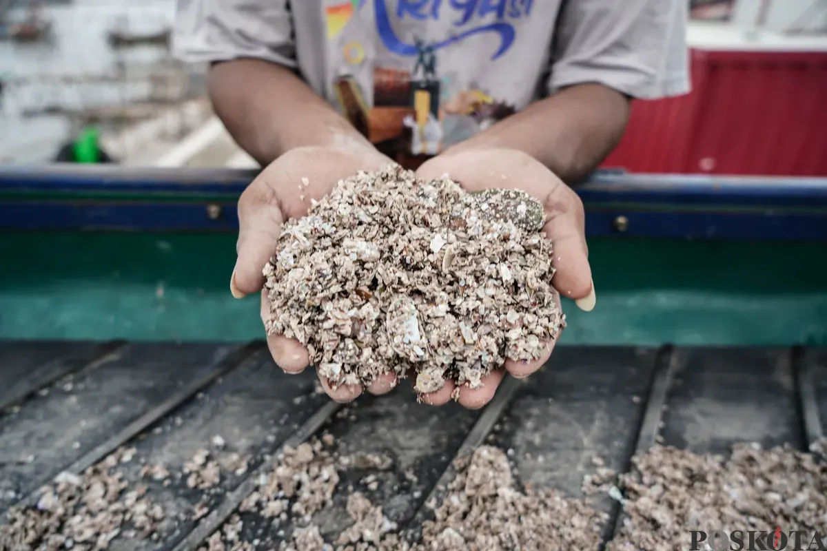 Pekerja mengerjakan proses pembuatan adonan kerajinan berbahan dasar limbah cangkang kerang hijau di Rumah Produksi Kelompok Kerajinan Cangkang Kering (Cangkring), Cilincing, Jakarta Utara, Senin, 26 Mei 2025. (Sumber: Poskota/Bilal Nugraha Ginanjar)