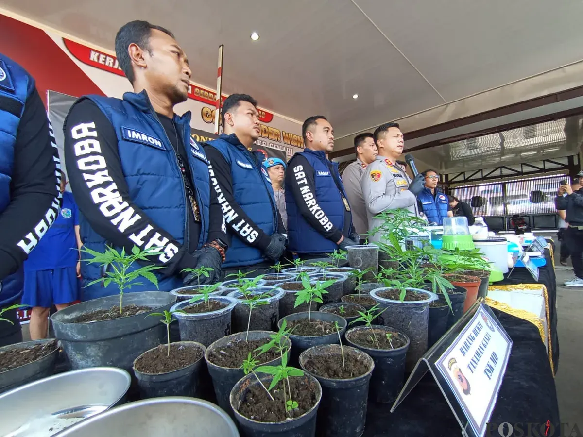 Barang bukti peredaran narkoba jenis ganja yang diolah menjadi kue dan cokelat yang berhasil diungkap Polres Cimahi. (Sumber: POSKOTA | Foto: Gatot Poedji Utomo)