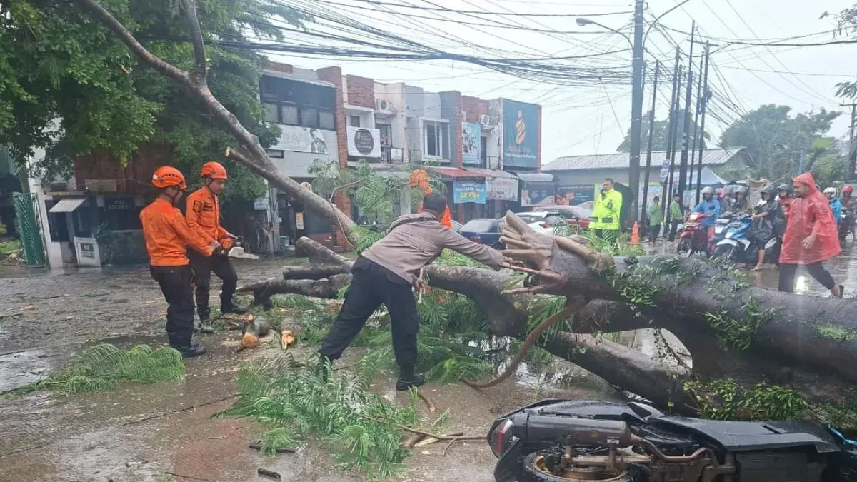 Pohon tumbang menimpa motor di Karadenan, Kecamatan Cibinong, Kabupaten Bogor, Selasa, 18 November 2025. (Sumber: Dok. BPBD Kabupaten Bogor)