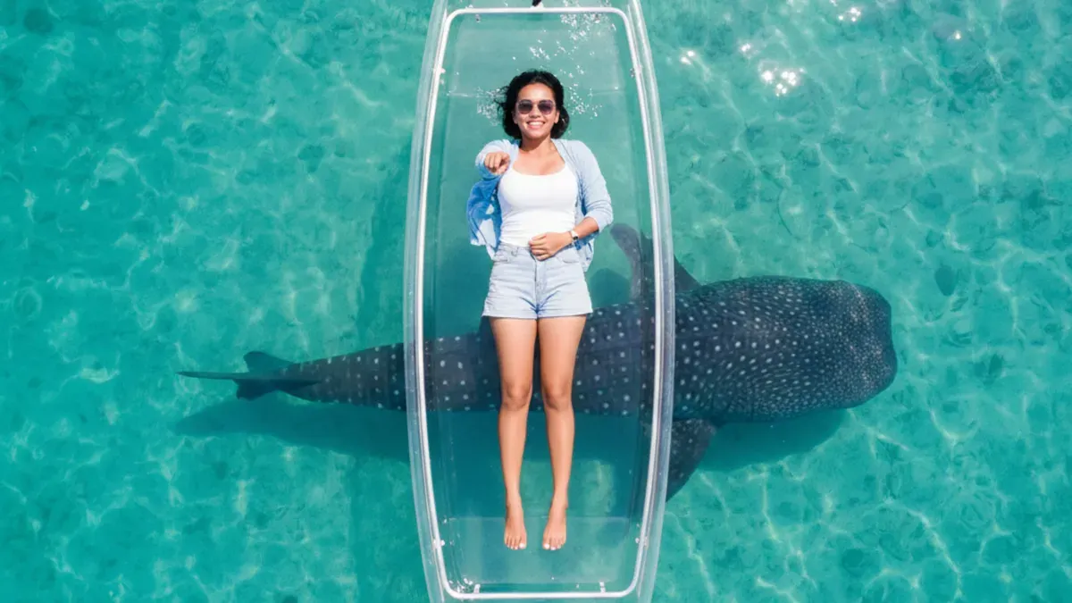 Wisata Hiu Paus Gorontalo Makin Mendunia: Begini Prompt Gemini AI yang Bikin Foto Terlihat Profesional (Sumber: Gemini AI)