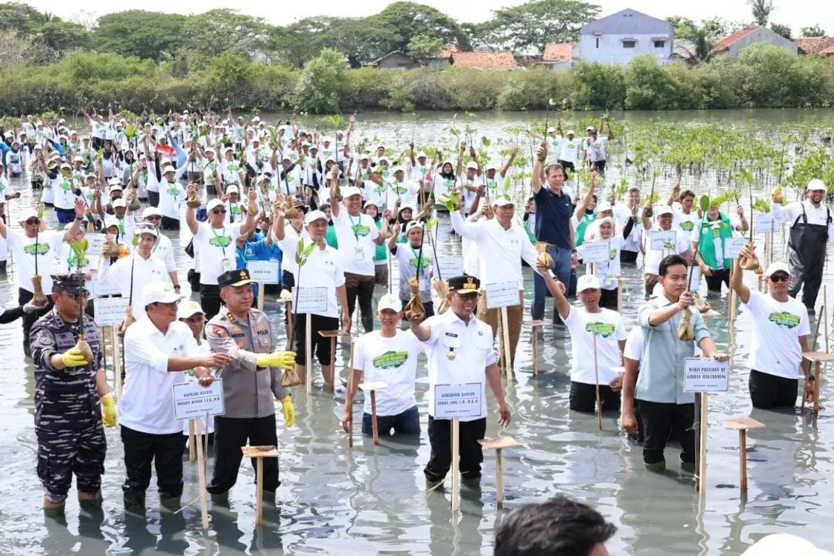 Bupati Tangerang Moch. Maesyal Rasyid mendampingi Wakil Presiden Gibran Rakabuming Raka menanam tanam mangrove di Taman Mangrove di KUA, Kecamatan Mauk, Kabupaten Tangerang, Senin, 27 Oktober 2025. (Sumber: Dok. Diskominfo Kabupaten Tangerang)