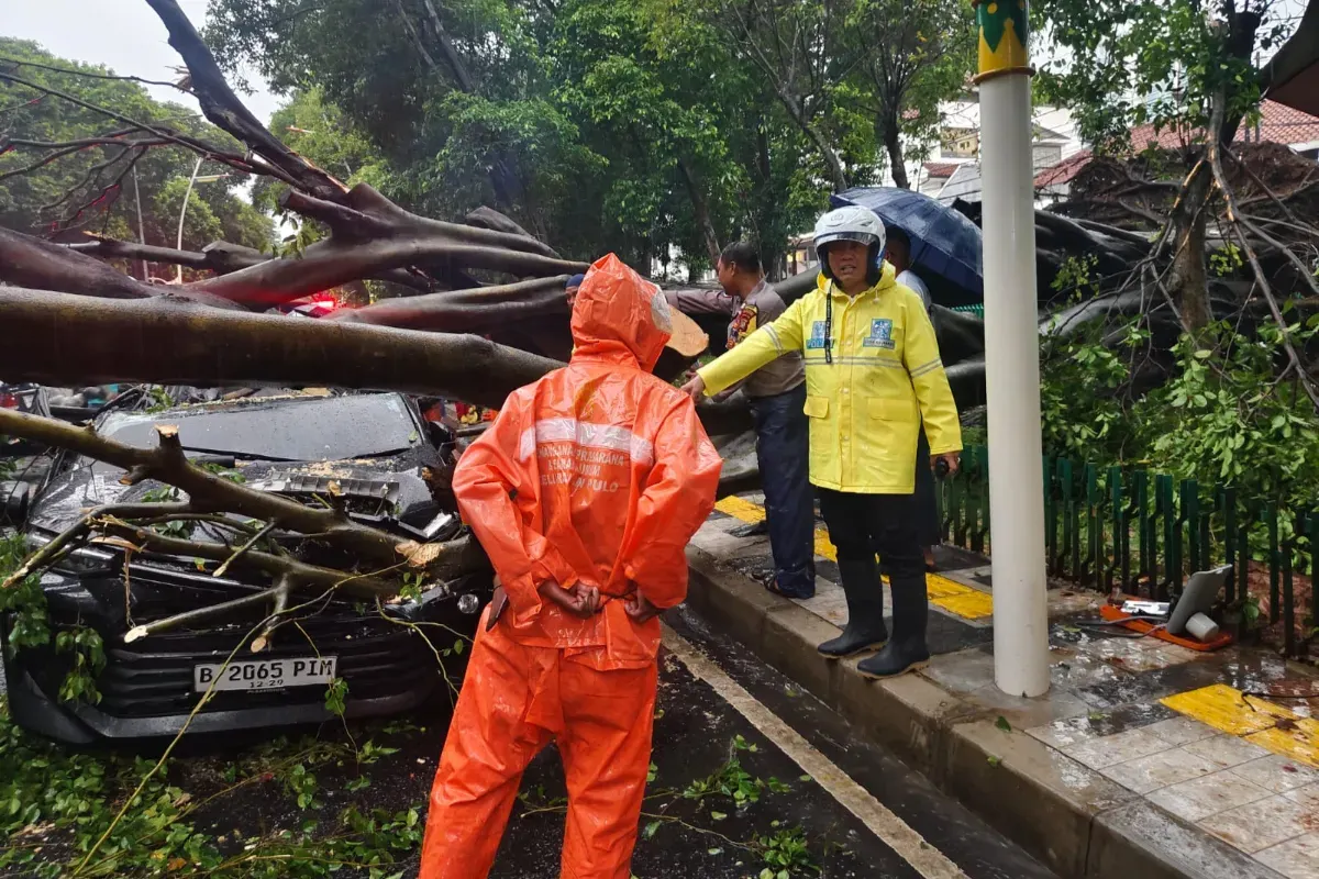 Insiden pohon tumbang timpa mobil di Dharmawangsa, Jakarta Selatan. (Sumber: X/@TMCPoldaMetro)
