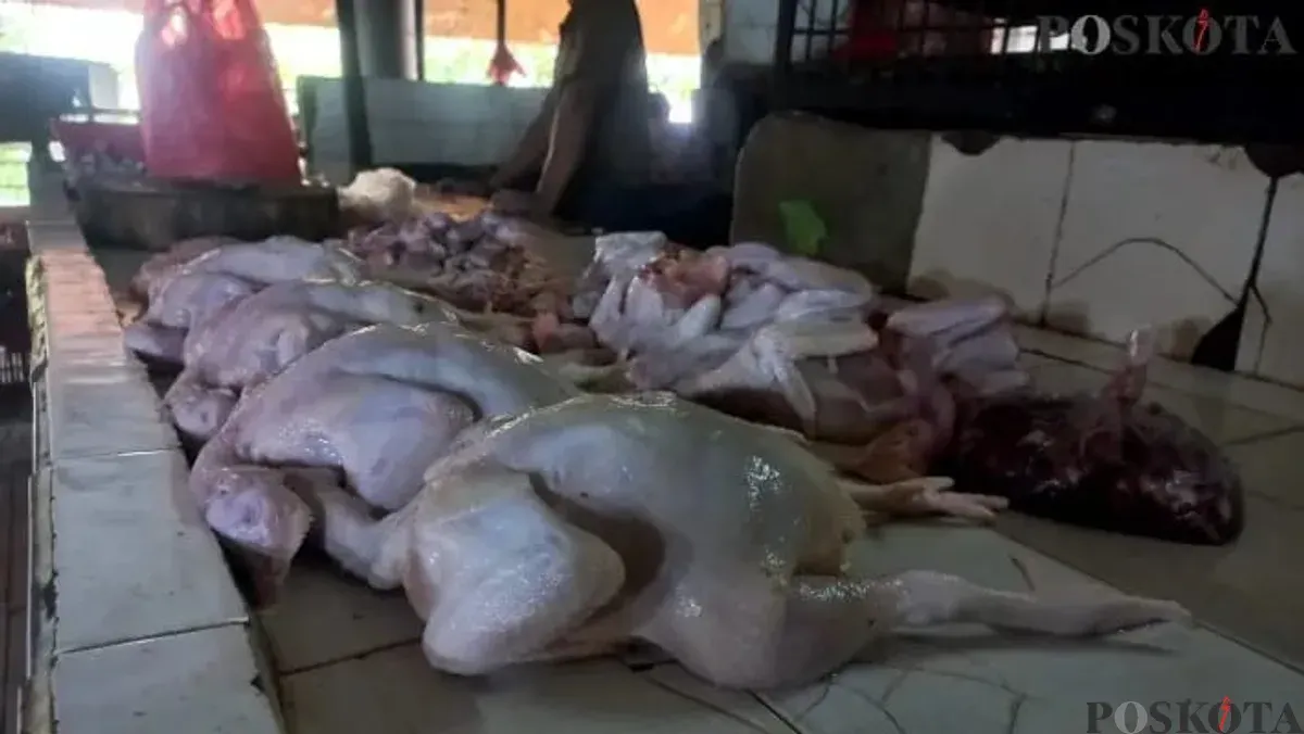 Daging ayam di salah satu lapak pasar tradisional Jakarta. Harga ayam naik, sementara cabai dan bawang terpantau stabil. (Sumber: Poskota/Pandi Ramedhan)