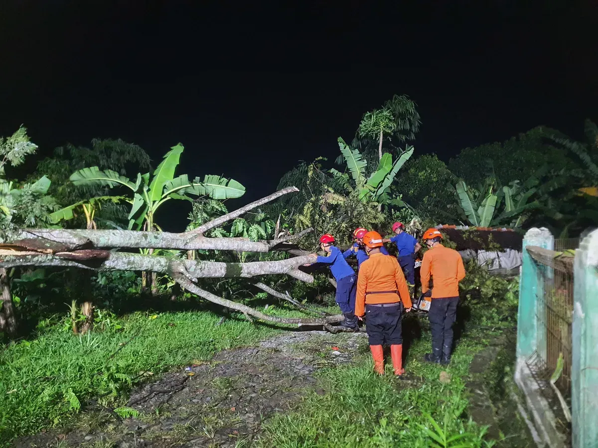 Petugas BPBD meninjau rumah rusak akibat hujan dan angin kencang di Desa Cinangka, Kecamatan Ciampea, Kabupaten Bogor. (Sumber: BPBD Kabupaten Bogor)