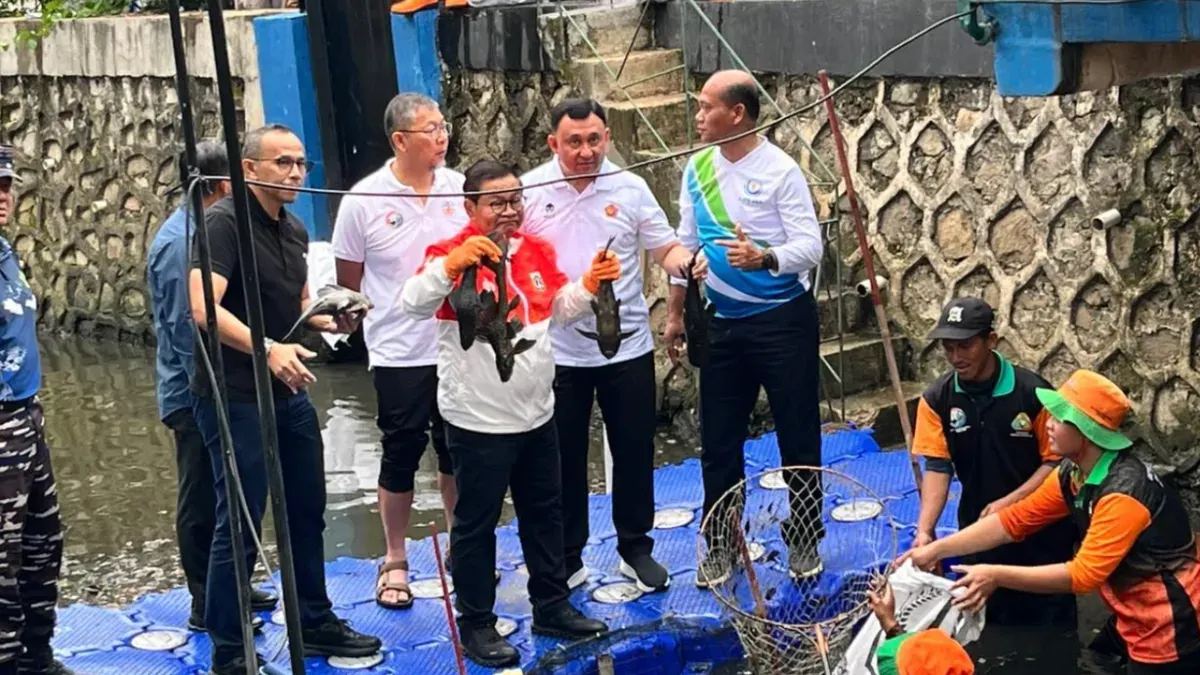 Gubernur DKI Jakarta, Pramono Anung saat memegang ikan sapu-sapu yang telah ditangkap petugas PPSU di aliran kali RW 06, Janur Elok VI Blok QD9, Kelapa Gading, Jakarta Utara, Jumat, 17 April 2026. (Sumber: Poskota/M. Tegar Jihad)