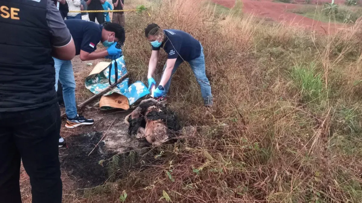 Petugas Inafis Polres Metro Depok melakukan cek tkp kondisi jasad pria tanpa identitas diduga korban mutilasi. (Sumber: Istimewa)