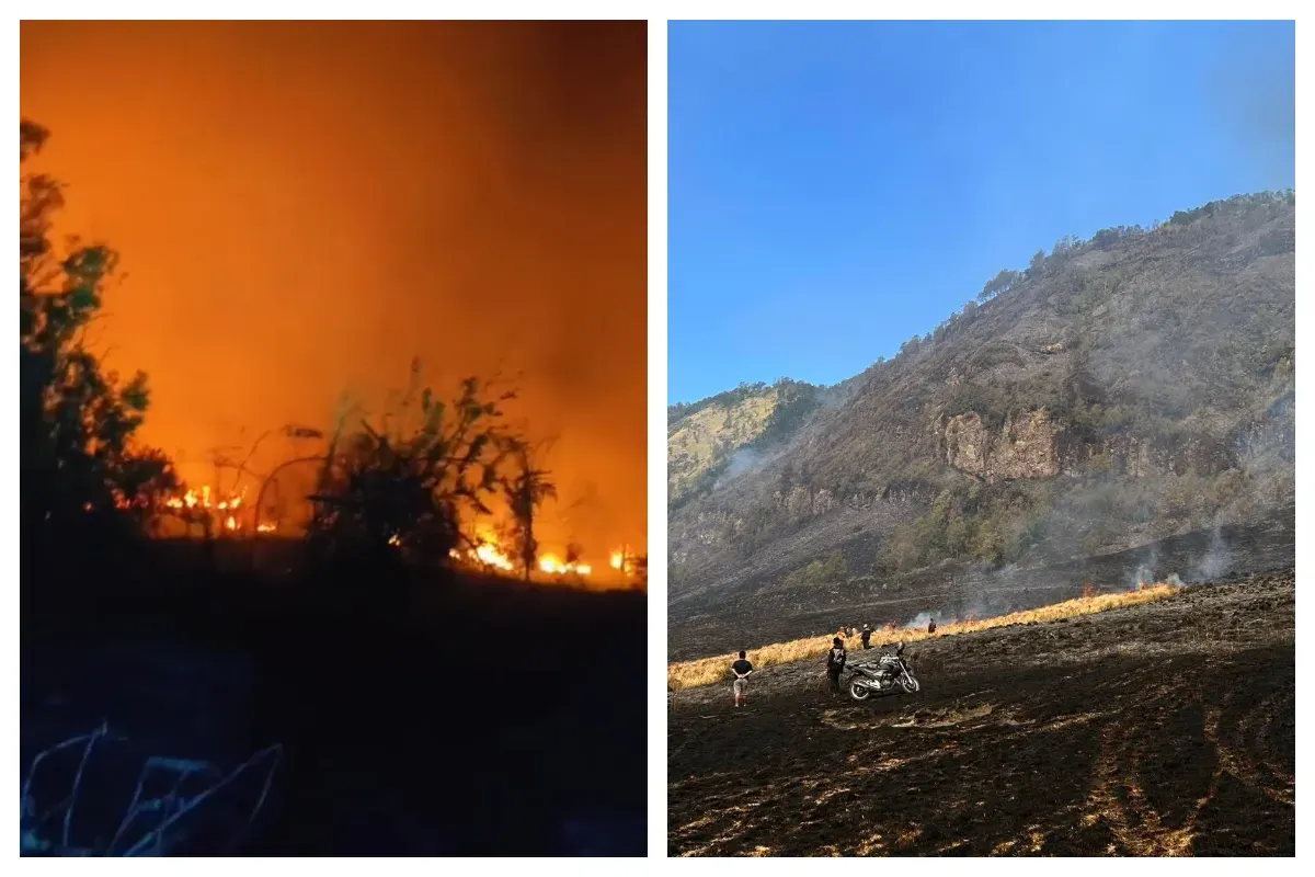 Kolase kebakaran hutan dan lahan melanda kawasan Taman Nasional Bromo Tengger Semeru (TNBTS), Jawa Timur. (Sumber: X/@NaraSenyap)