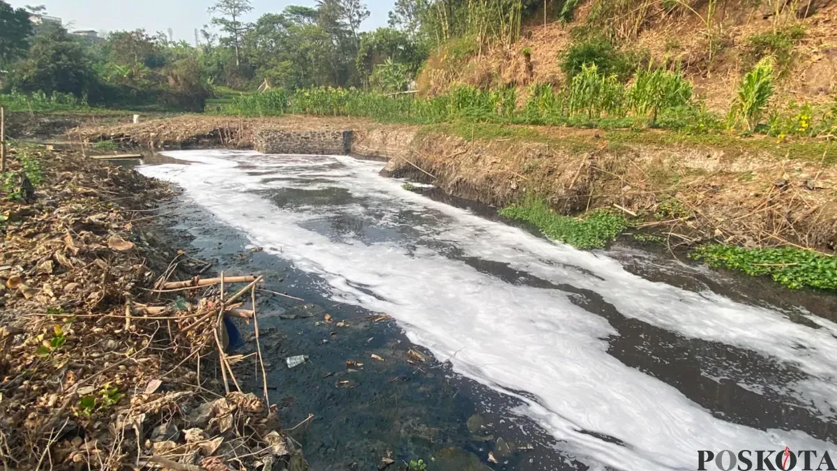 Kondisi aliran Sungai Cihaur di Kampung Pangkalan, RT 03/13, Desa Cipeundeuy, Kecamatan Padalarang, Kabupaten Bandung Barat. (Sumber: Pos Kota/Gatot Poedji Utomo)