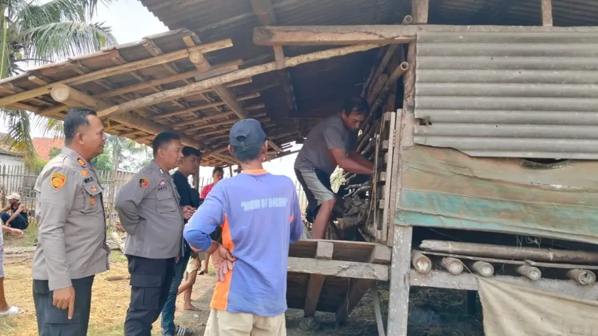 Petugas Polsek Pontang dan Tim Resmob Satreskrim Polres Serang melakukan olah TKP dan menelusuri jejak pencuri kambing. (Sumber: Polsek Pontang)