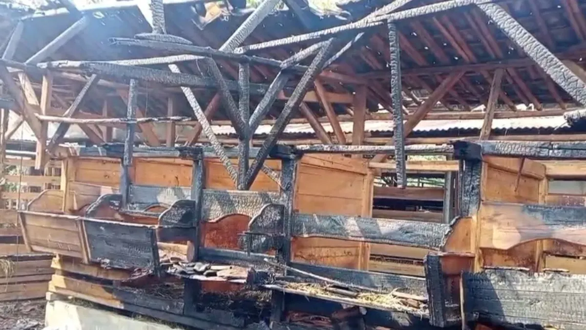 Kandang kambing milik peternak di Kampung Bojong Kelor, Desa Tapos, Kecamatan Cadasari, Kabupaten Pandeglang, Banten. (Sumber: Dok. Istimewa)