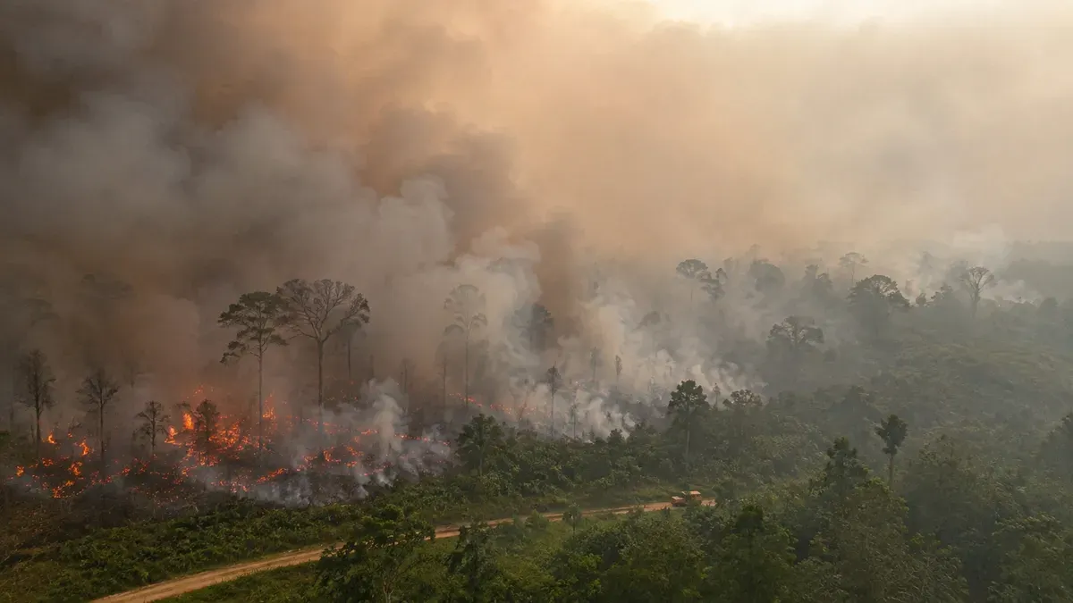Ilustrasi - Sejumlah sekolah di Kalimantan menerapkan PJJ dan penyesuaian pembelajaran terkait kebakaran hutan dan lahan (karhutla) (Sumber: chatgpt)