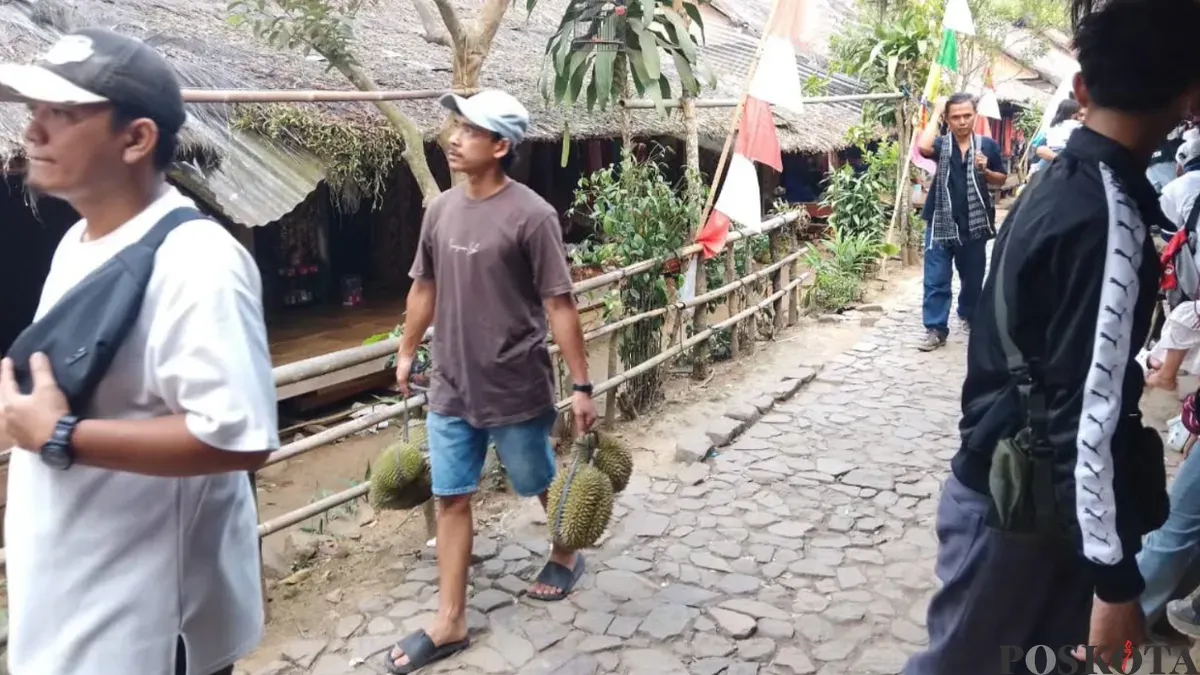 Para wisatawan saat berburu durian di kawasan Baduy Dalam di Kabupaten Lebak. (Sumber: Pos Kota/ Samsul Fatoni)