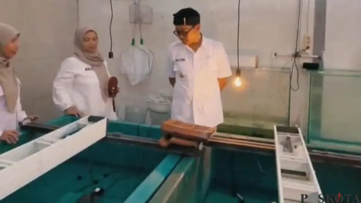 Wakil Walikota Cimahi, Adhitia Yudhistira, kunjungi Balai Benih Ikan (BBI) di Kelurahan Cibabat, Kecamatan Cimahi Utara, Senin 16 Februari 2026. (Sumber: Poskota/Gatot Poedji Utomo)