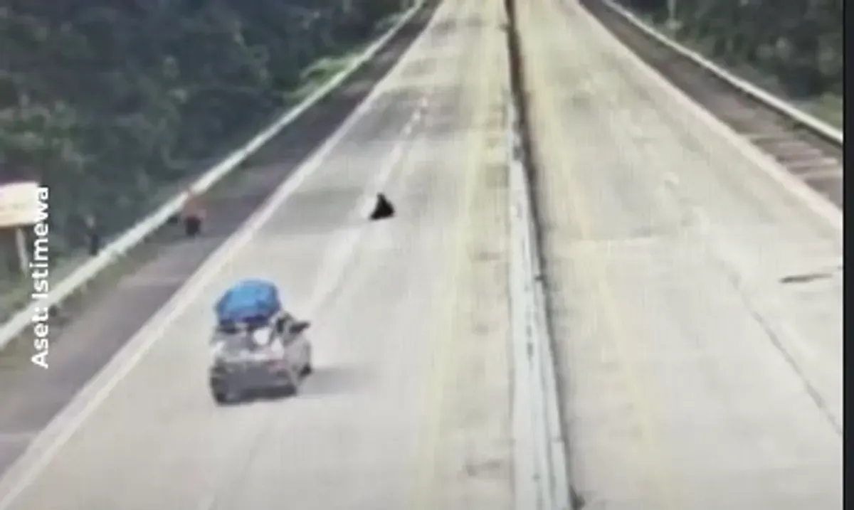 Seorang santri tewas usai tertabrak mobil di Tol Bakauheni, Lampung. (Sumber: Istimewa/Tangkapan Layar)