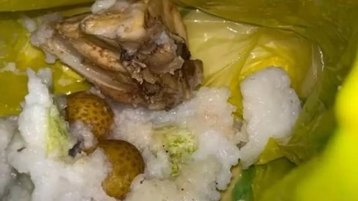 Kemasan menu MBG yang dibungkus denan plastik kresek di Kecamatan Sukaresmi, Pandeglang. (Sumber: tangkapan layar)