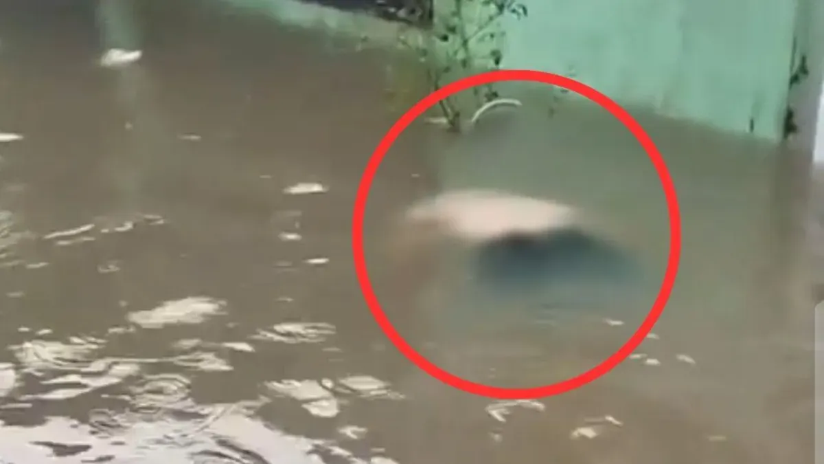 Sesosok jasad ditemukan mengambang di tengah banjir yang merendam kawasan peruamahan di Bekasi Timur, Kota Bekasi. (Sumber: Istimewa)