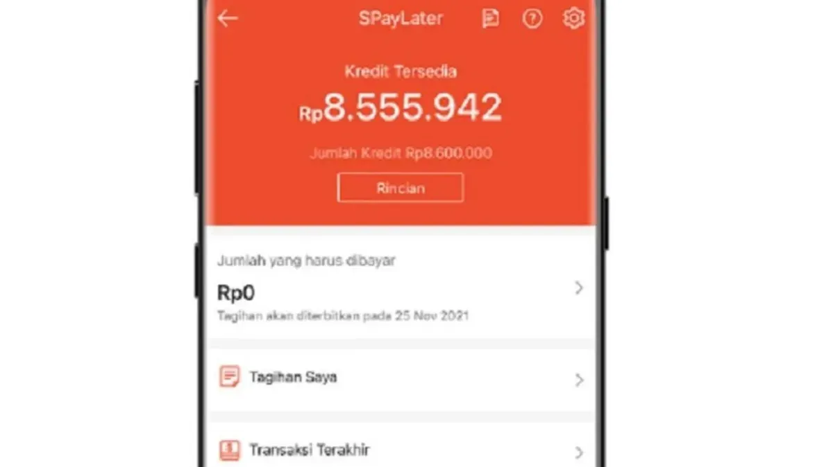 Saldo Shopee Paylater. (Sumber: Tangkapan layar Shopee)