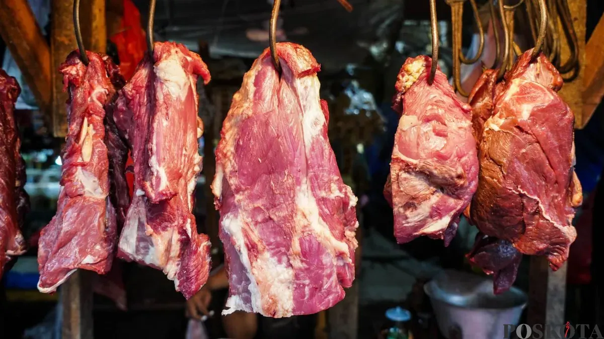 Ilustrasi daging sapi. (Sumber: Poskota/Bilal Nugraha Ginanjar)