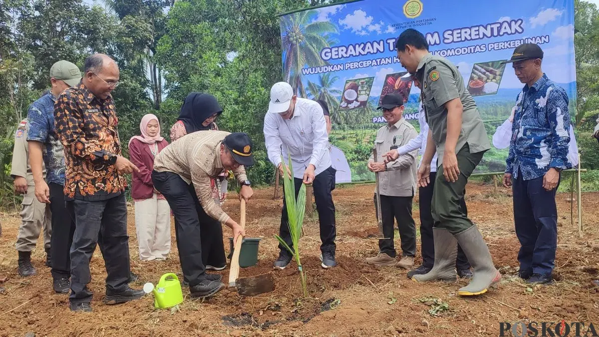 Dirjen Perkebunan melakukan penanaman bibit kelapa di Kecamatan Pulosari, Kabupaten Pandeglang, Kamis 2 Juli 2026. (Sumber: Poskota/Samsul Fatoni)