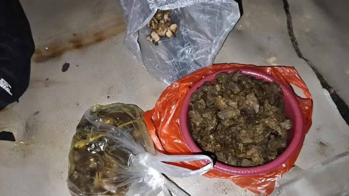 Daging Tapir yang sudah diolah, diamankan sebagai barang bukti dalam pengungkapan kasus pembunuhan satwa dilindungi di Register 45, Mesuji, Lampung. (Sumber: Polres Mesuji)