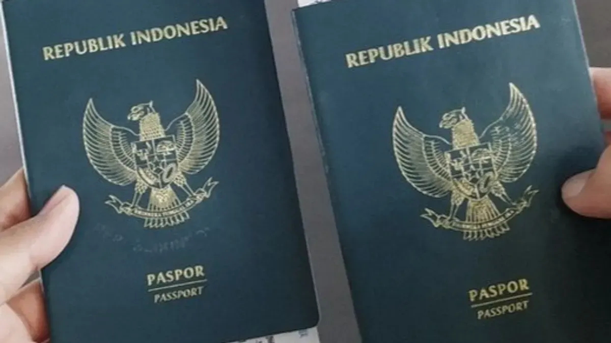 Ada beberapa persyaratan untuk mengajukan permohonan pelepasan status WNI. (Sumber: Pinterest/Elvavinski)
