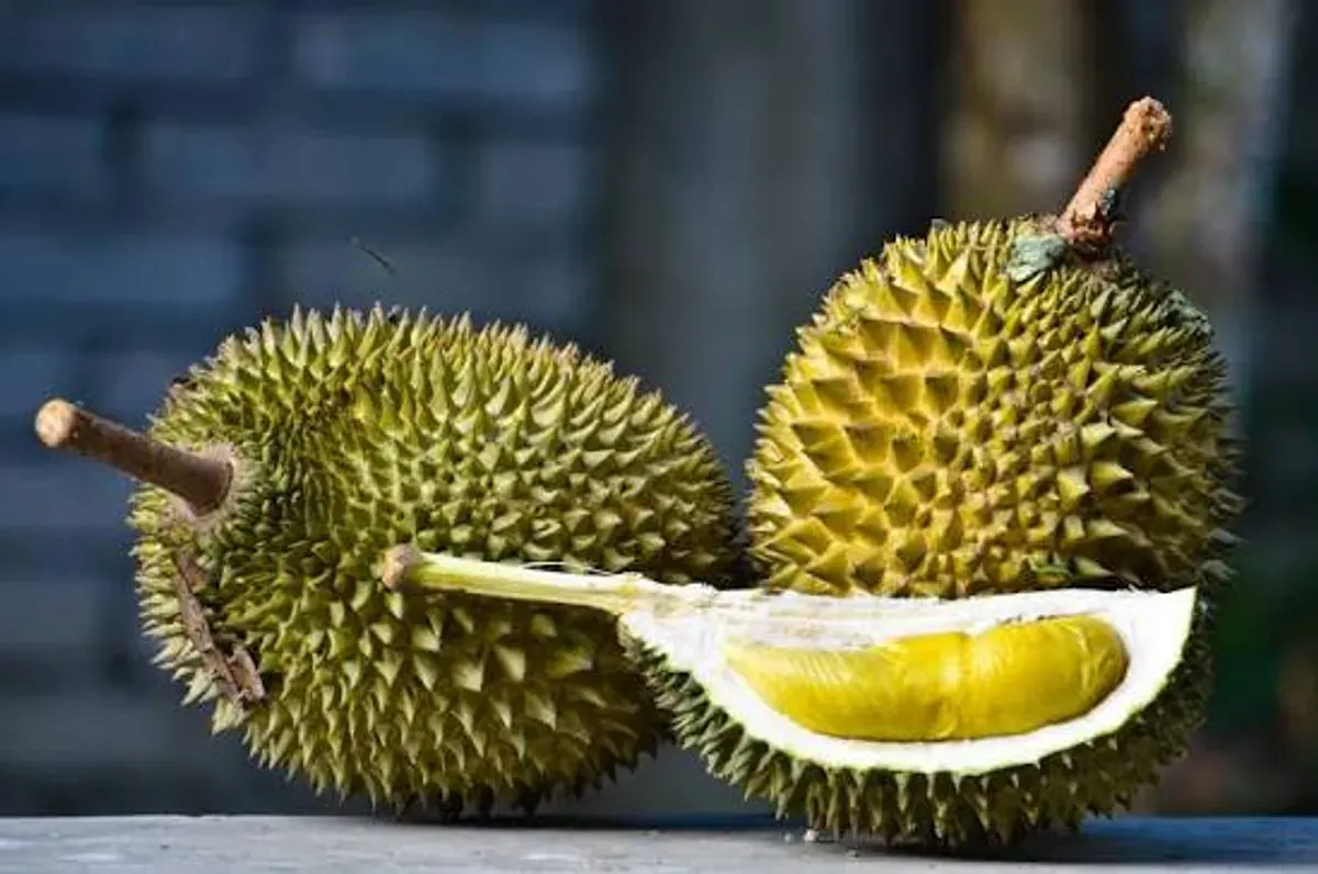 cara memilih durian yang bagus dapat membantu pembeli mendapatkan buah dengan kualitas daging yang lebih baik dan tingkat kematangan yang sesuai. (Sumber: Flickr)