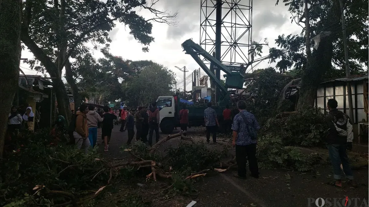 Petugas BPBD Kota Cimahi mengevakuasi material pohon tumbang, Jumat 6 Maret 2026. (Sumber: Poskota/Gatot Poedji Utomo)