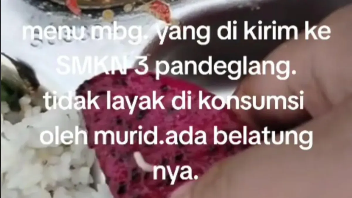 Tangkapan layar video yang memperlihatkan ada belatung di menu Makan Bergizi Gratis (MBG) yang diberikan kepada siswa di Pandeglang. (Sumber: Istimewa)