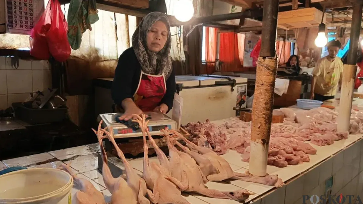 Pedagang ayam di Pasar Tomang Barat, Grogol Petamburan, Jakarta Barat. (Sumber: Pos Kota/ Pandi Ramedhan)