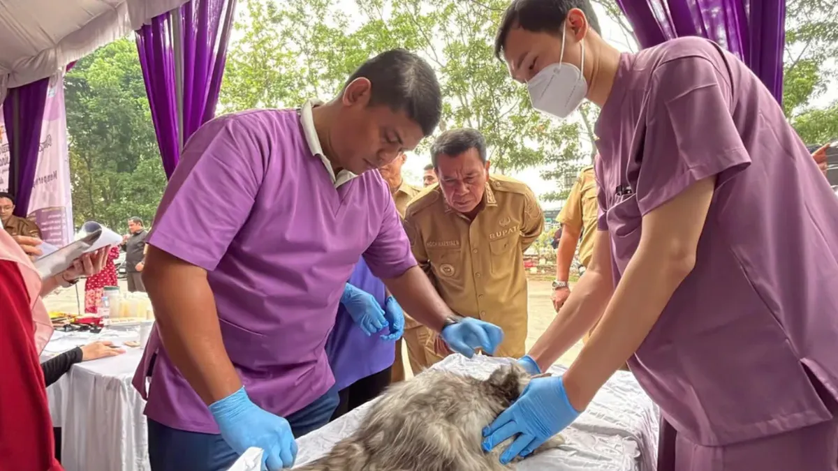 Bupati Tangerang, Maesyal Rasyid saat memantau kegiatan vaksinasi hewan peliharaan gratis. (Sumber: Istimewa)