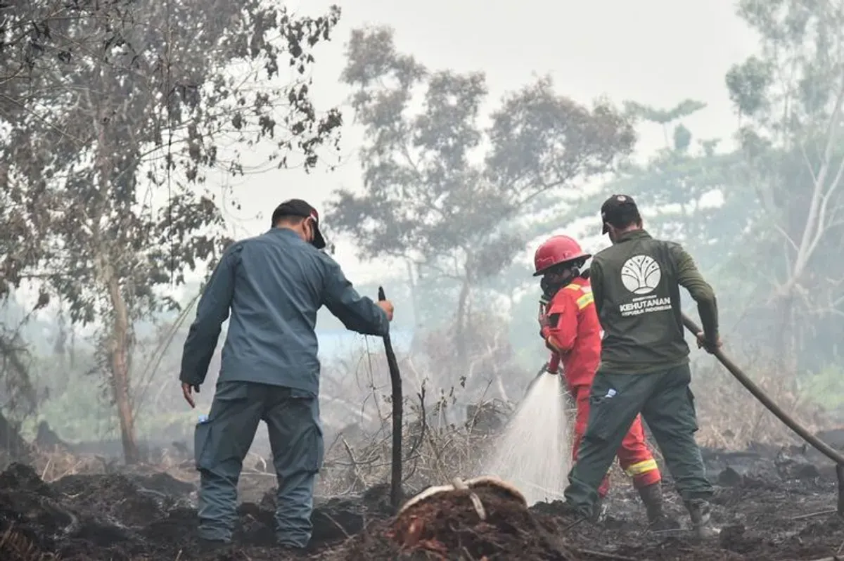 Tim gabungan melakukan pengendalian kebakaran hutan dan lahan di wilayah prioritas untuk mencegah api meluas serta memastikan titik panas segera diverifikasi di lapangan. (Sumber: Kemenhut)