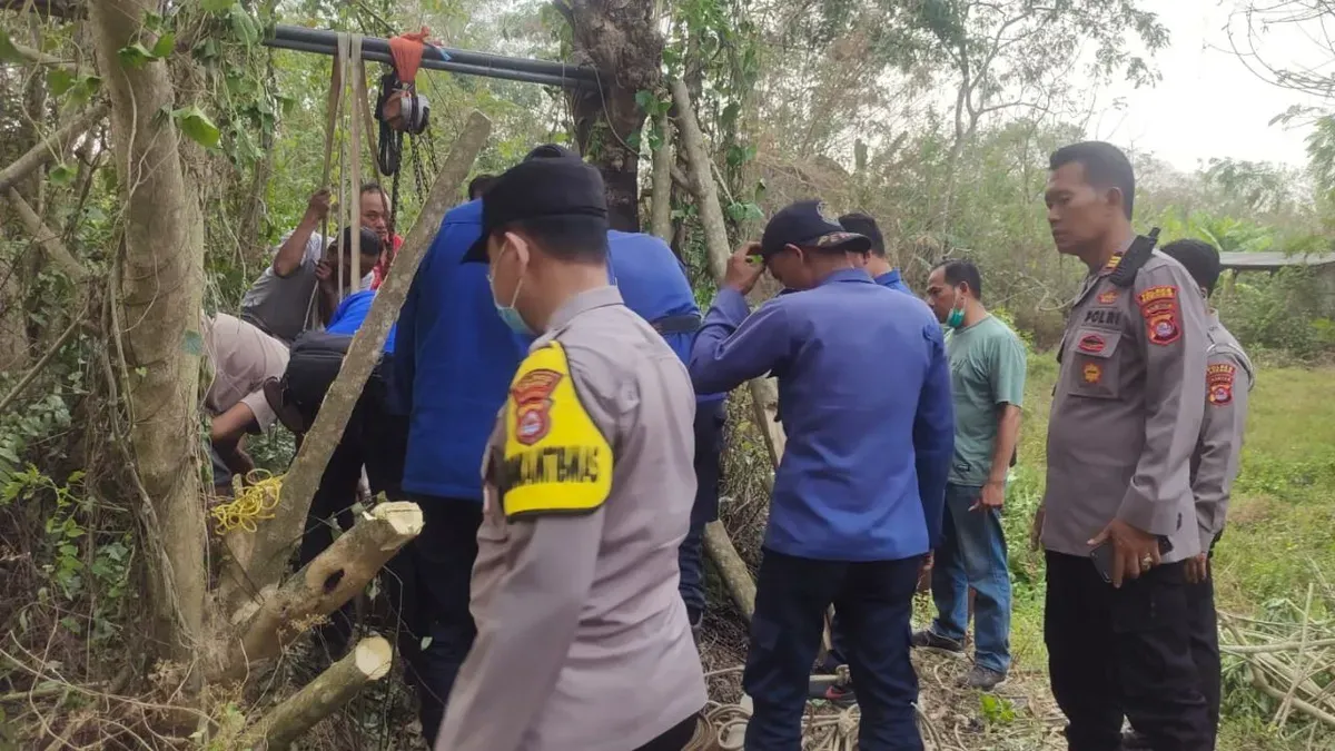 Proses evakuasi kerbau betina tercebur sumur sedalam 11 meter di Kampung Katerembel, Desa Cisait, Kecamatan Kragilan, Kabupaten Serang, Banten, Selasa, 8 September 2026. (Sumber: Dok. Istimewa)