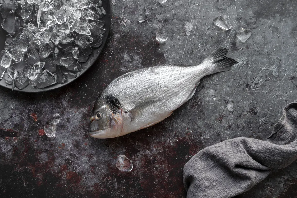 Ikan nila hitam atau blackchin tilapia disebut sebagai spesies invasif di Thailand. (Sumber: Magnific)
