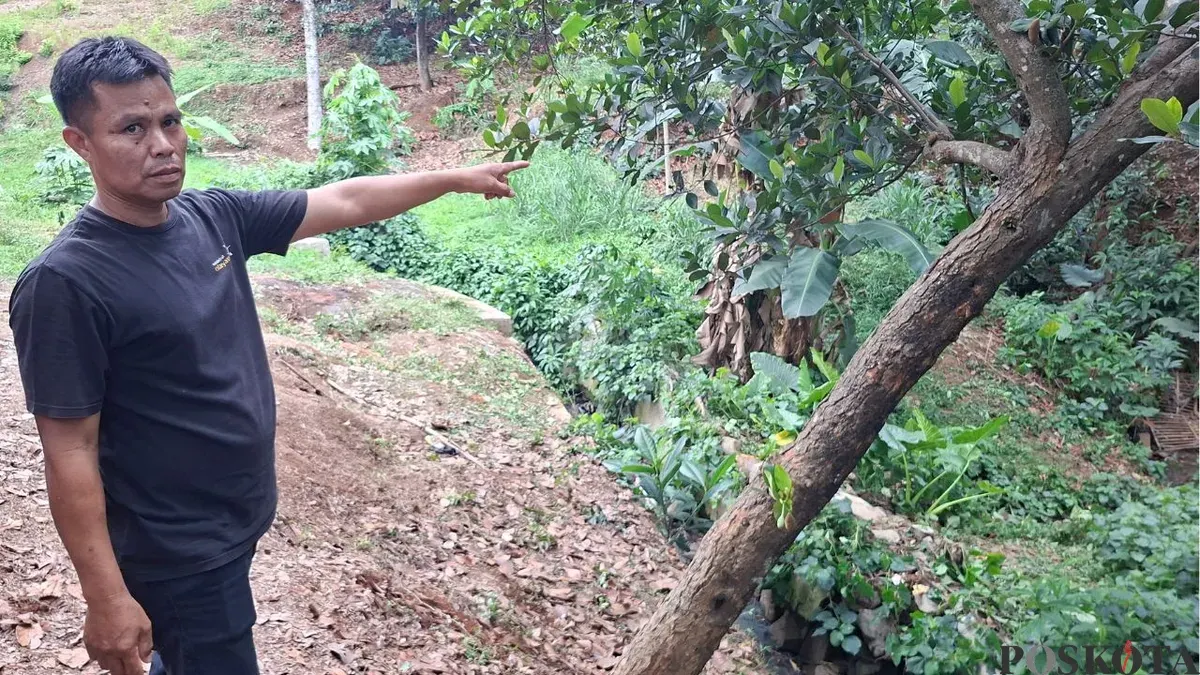 Penjaga villa menunjukan lokasi batang pohon nangka yang diduga dijadikan tempat korban mengakhiri hidupnya di Kelurahan Pondok Jaya, Kecamatan Cipayung, Kota Depok, Kamis, 24 September 2026. (Sumber: Poskota/Angga Pahlevi)
