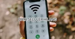 Cara mengatasi data seluler tidak mau muncul. (Canva)